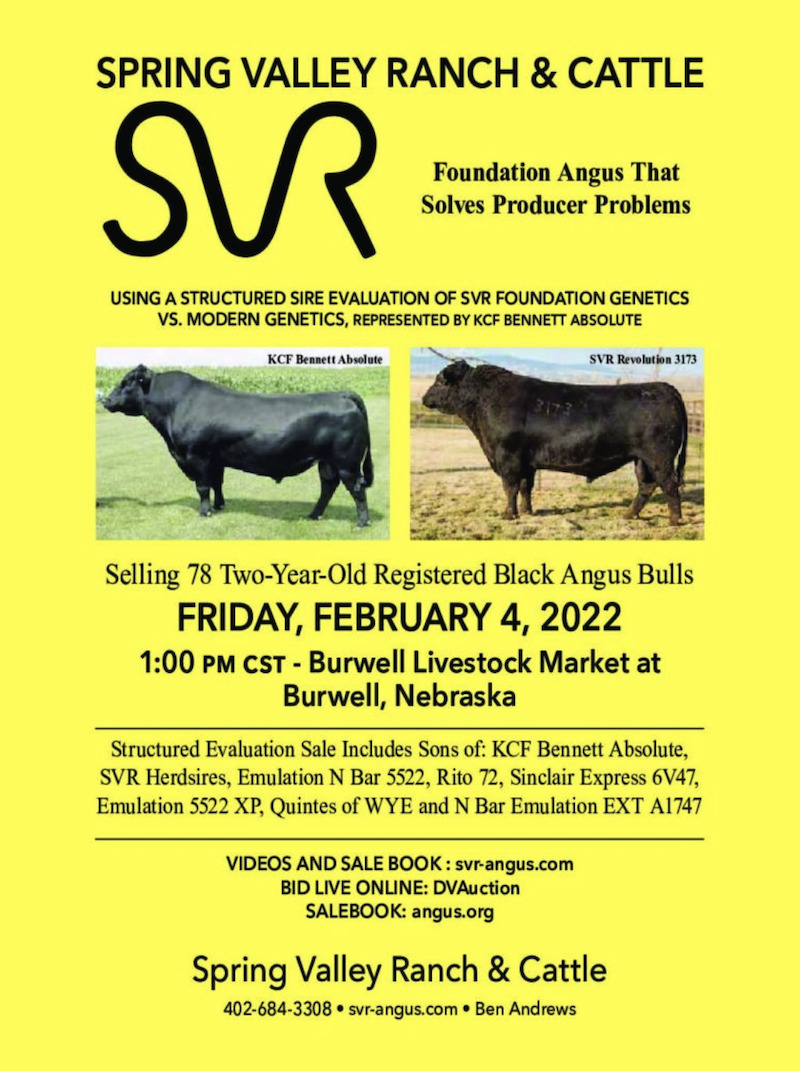Spring Valley Ranch and Cattle-SB-S22