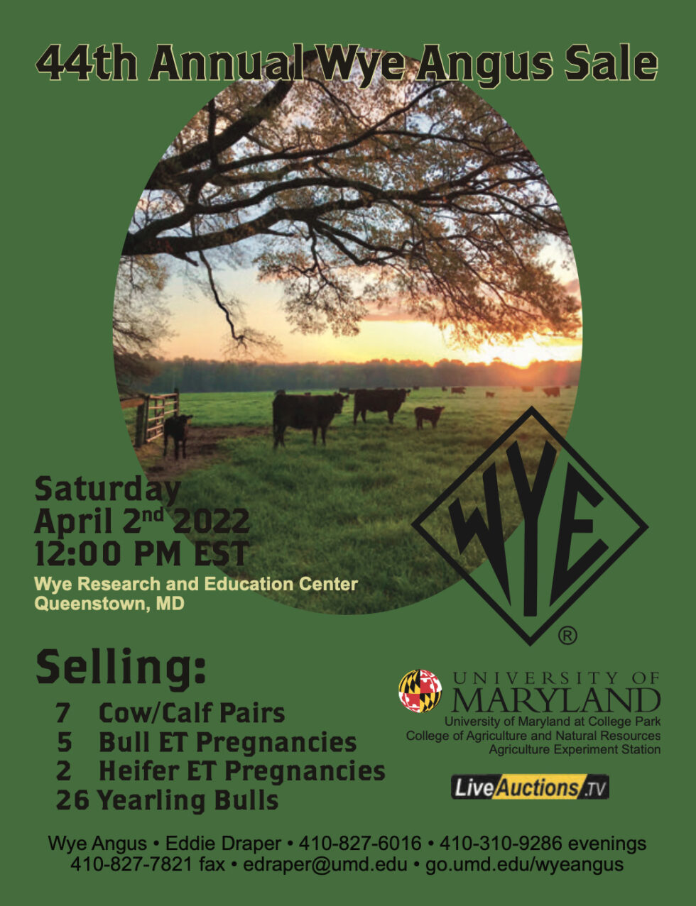 44th Annual Wye Angus Sale Brubaker Sales