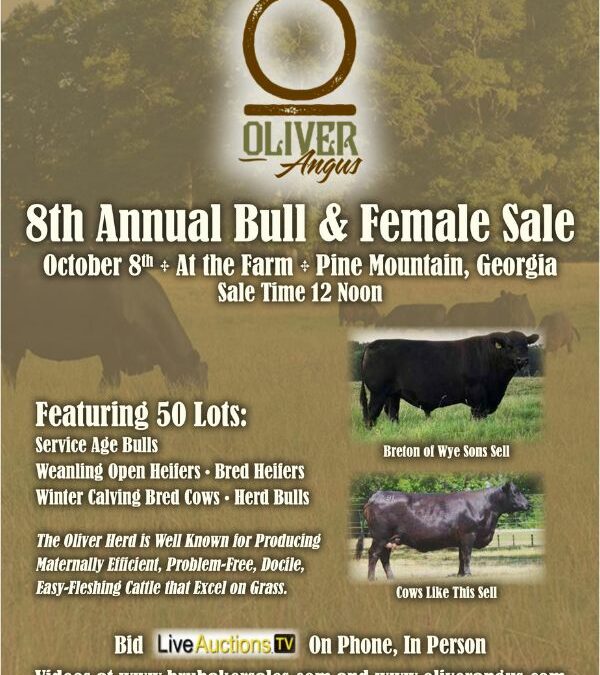 Oliver Angus 8th Annual Bull & Female Sale