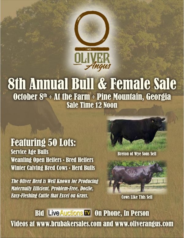Oliver Angus 8th Annual Bull & Female Sale