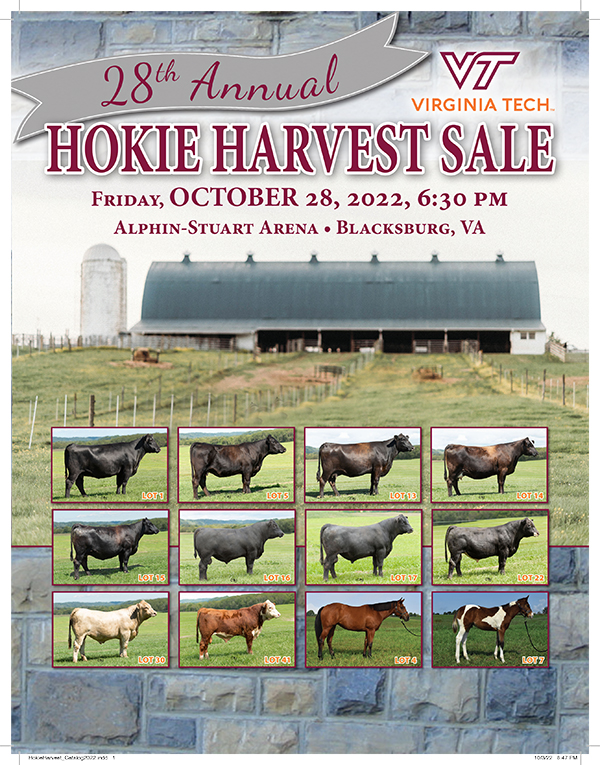Hokie Harvest Catalog 2022